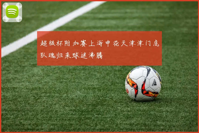 超级杯附加赛上海申花天津津门虎队魂归来球迷沸腾