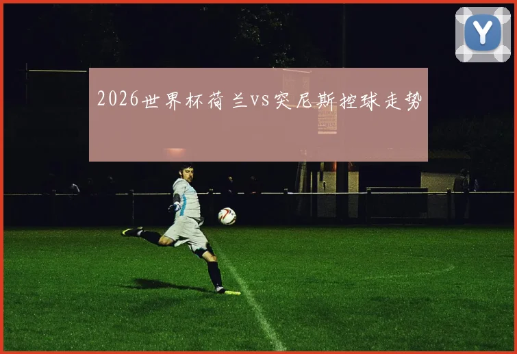 2026世界杯荷兰vs突尼斯控球走势
