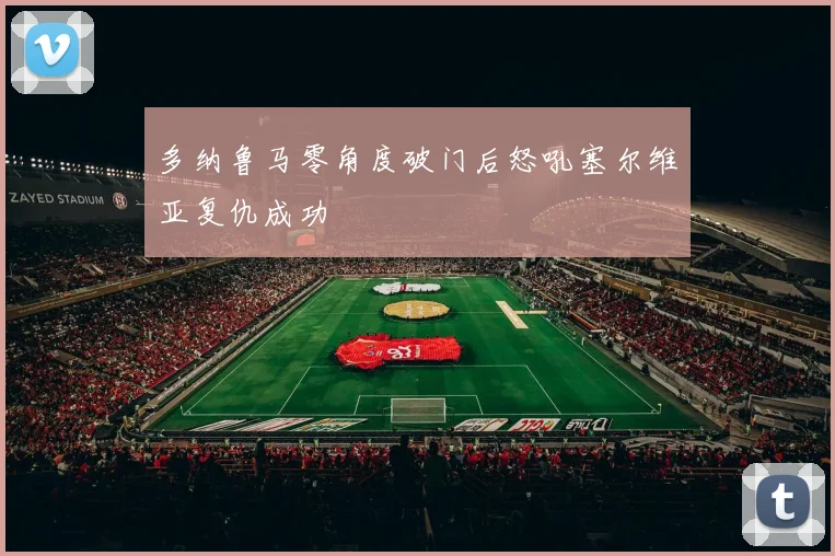 多纳鲁马零角度破门后怒吼塞尔维亚复仇成功