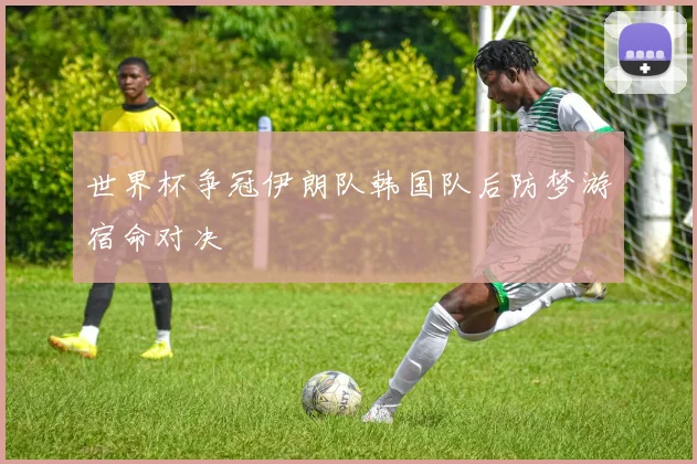 世界杯争冠伊朗队韩国队后防梦游宿命对决