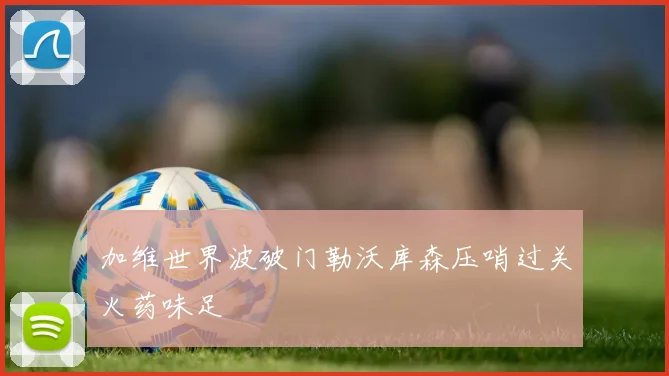 加维世界波破门勒沃库森压哨过关火药味足