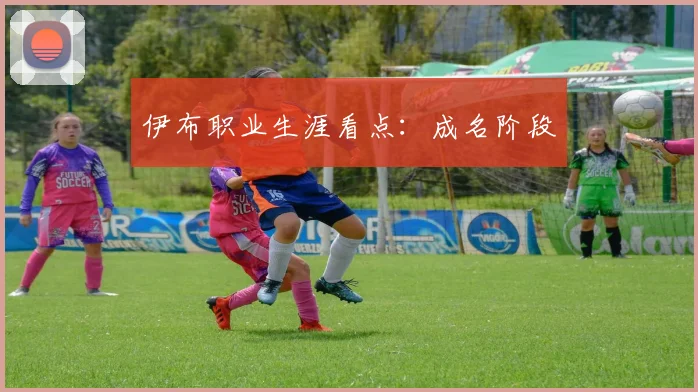 伊布职业生涯看点：成名阶段