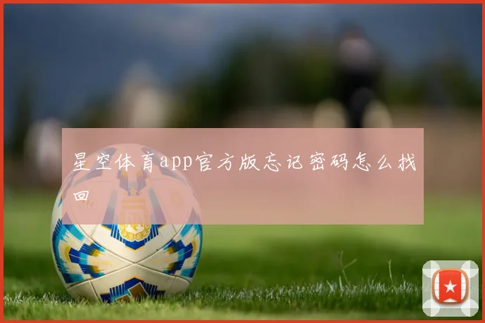 星空体育app官方版忘记密码怎么找回